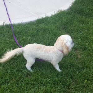 Meet your Posher, Mikayla